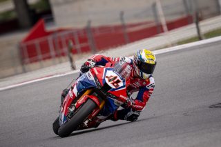 BRIDEWELL_DSC06963