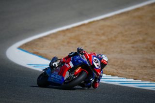 VIERGE-JEREZ-TEST_10