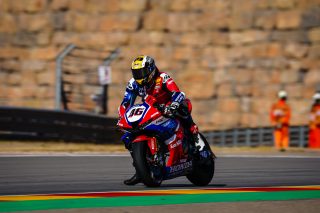 BRIDEWELL_ARAGON_337