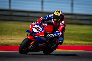 BRIDEWELL_ARAGON_338