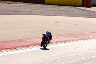 VIERGE_ARAGON_337