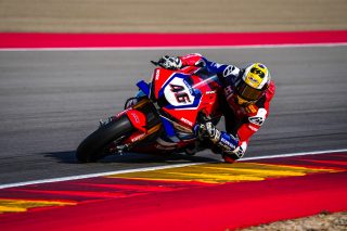 BRIDEWELL_ARAGON_683