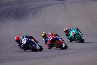 BRIDEWELL_ARAGON_714
