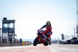BRIDEWELL_ARAGON_709