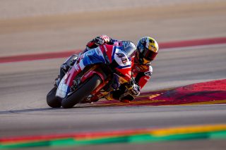 BRIDEWELL_ARAGON_704